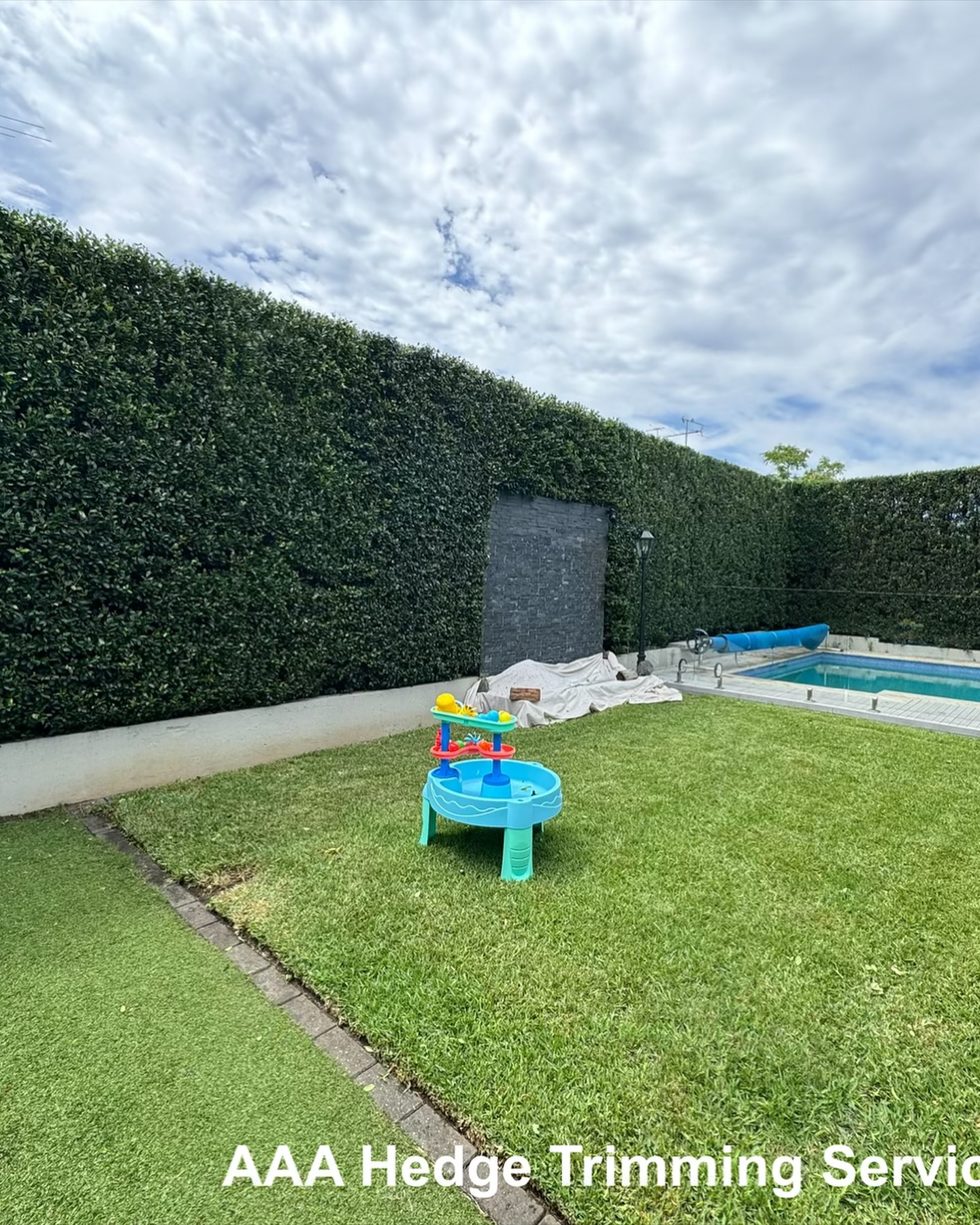 Shaped hedge and lawn edge