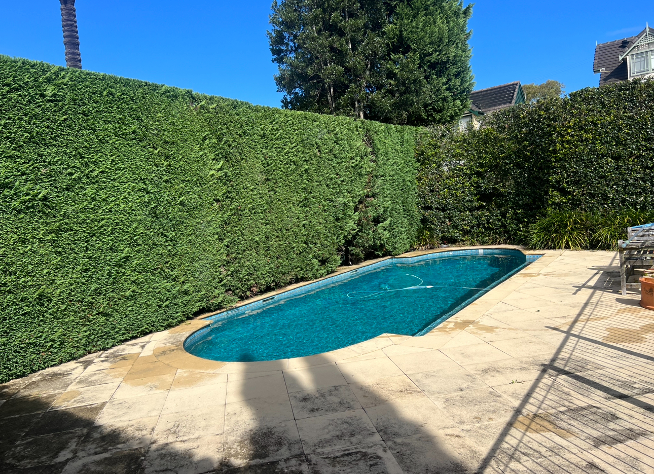 Privacy hedge alongside a pool, Cronulla